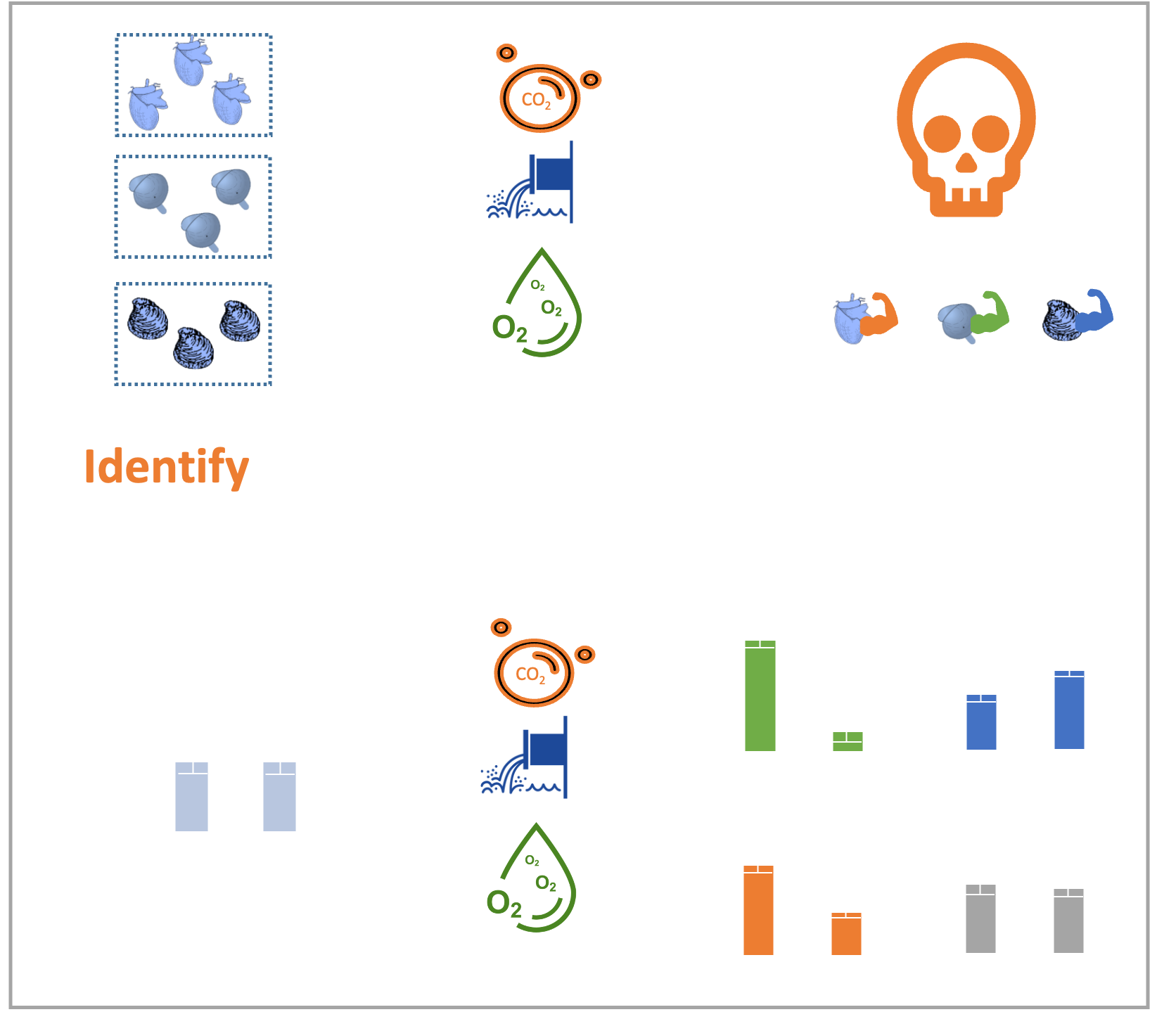 Puritz Coastal Stressors | Puritz Lab of Marine Evolutionary Ecology